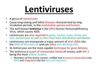 what are lentiviruses known for